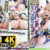 【AI 4Kリマスター版】発情メス猫レイヤーとイチャラブ個撮パイパンま〇こ生ハメ撮りSEX【原〇 綺良々
